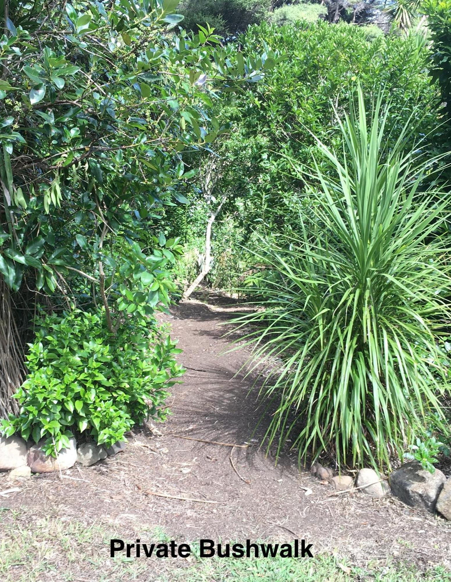 Bethells Beach Te Henga Hideawayヴィラ エクステリア 写真