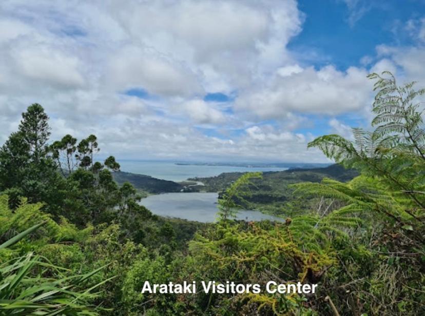 Bethells Beach Te Henga Hideawayヴィラ エクステリア 写真