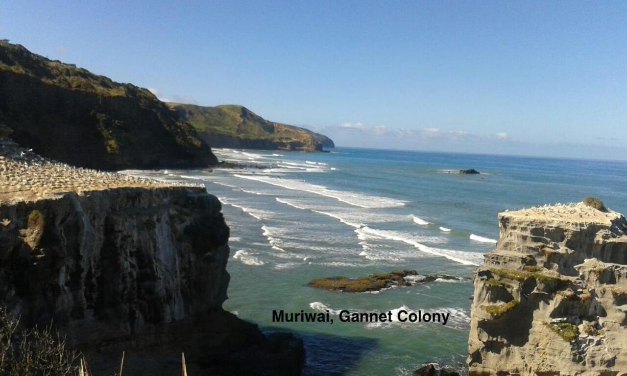 Bethells Beach Te Henga Hideawayヴィラ エクステリア 写真