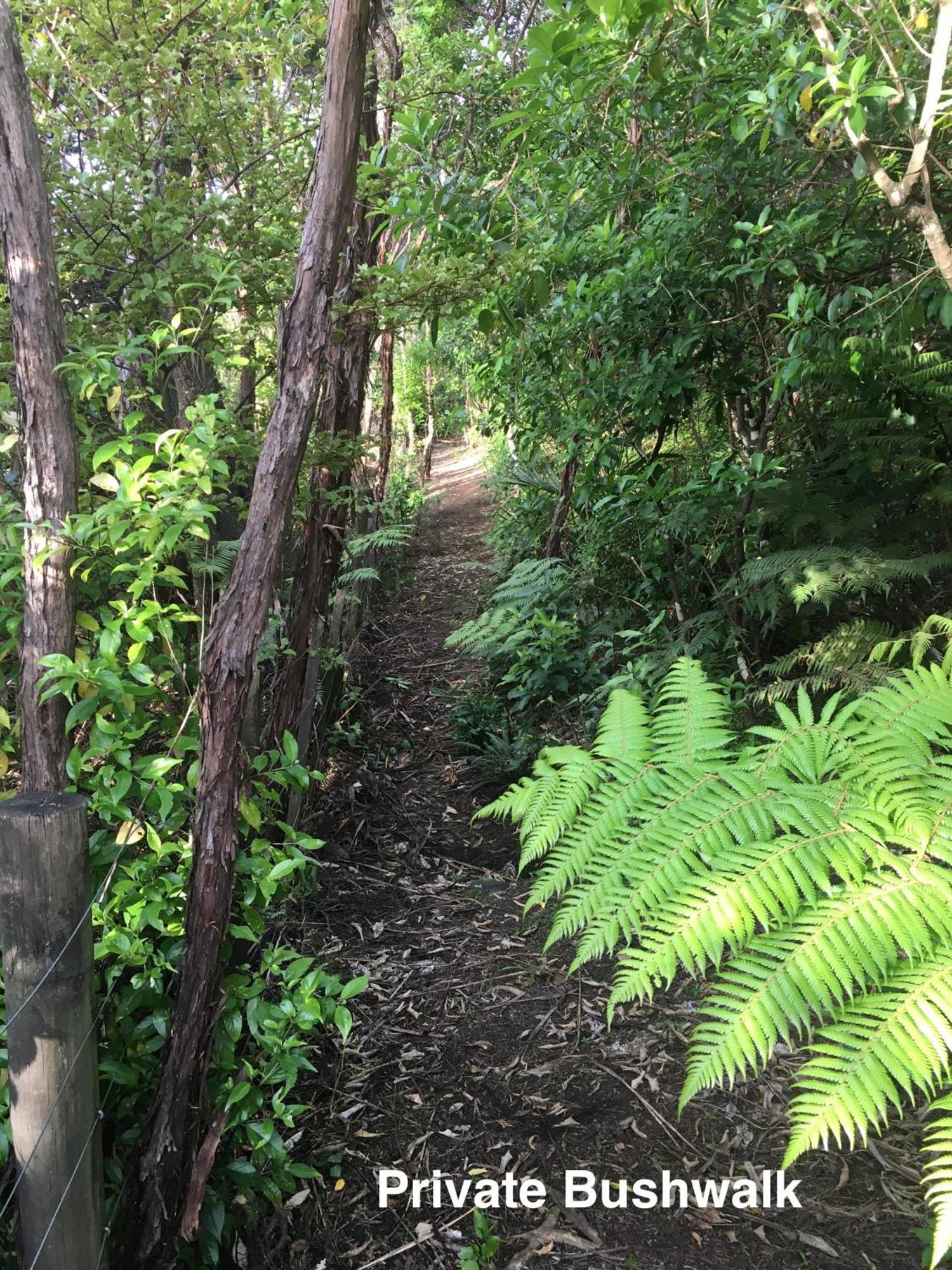 Bethells Beach Te Henga Hideawayヴィラ エクステリア 写真