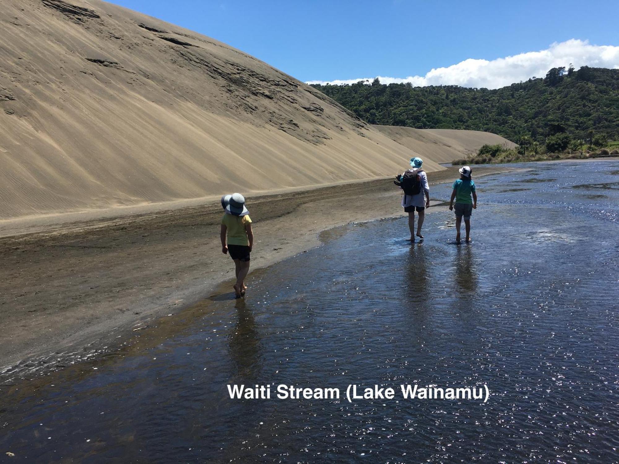 Bethells Beach Te Henga Hideawayヴィラ エクステリア 写真